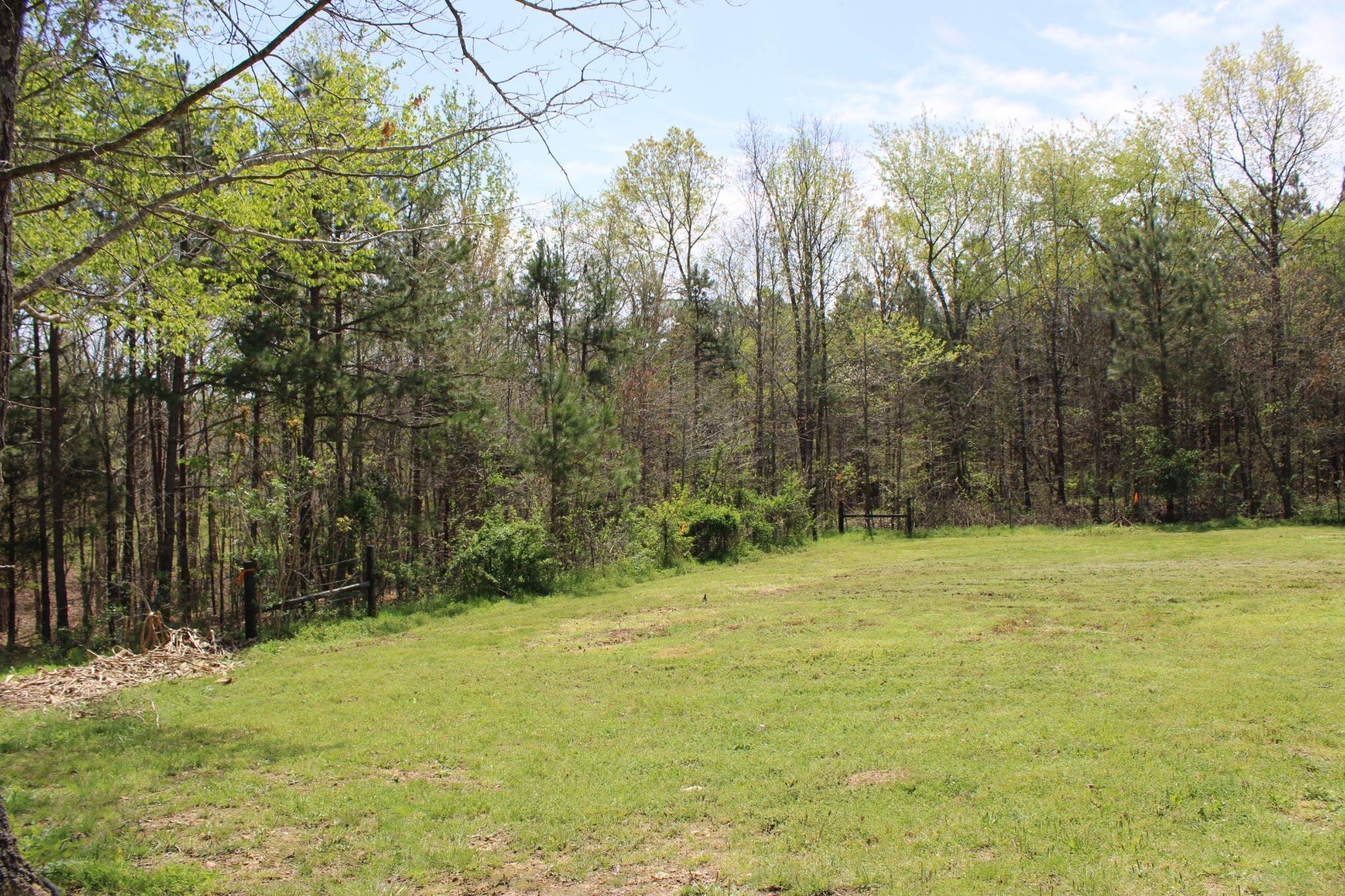 144 Bjs Way Summertown, TN 38483 - Photo 37 of 54