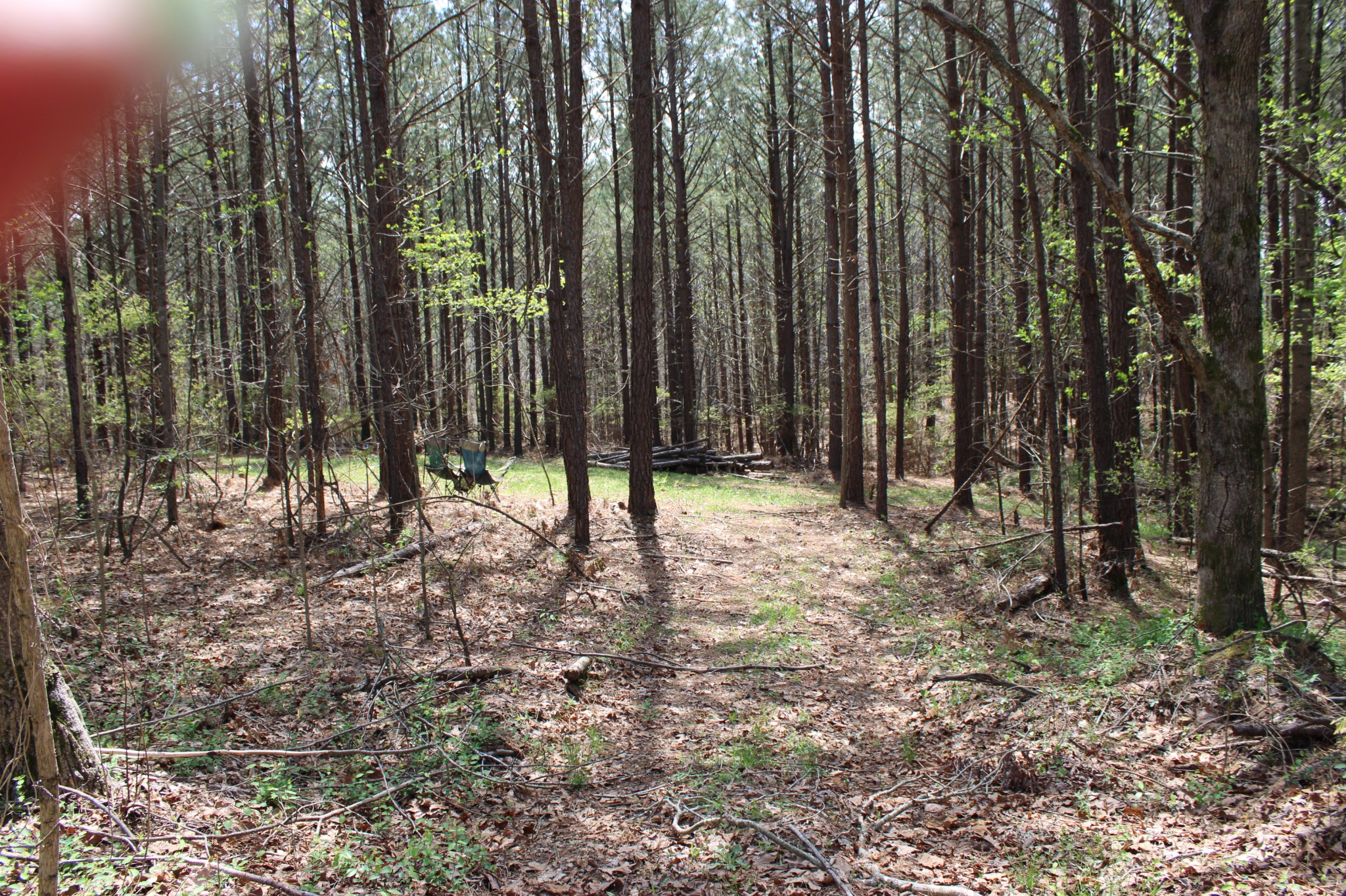 144 Bjs Way Summertown, TN 38483 - Photo 41 of 54