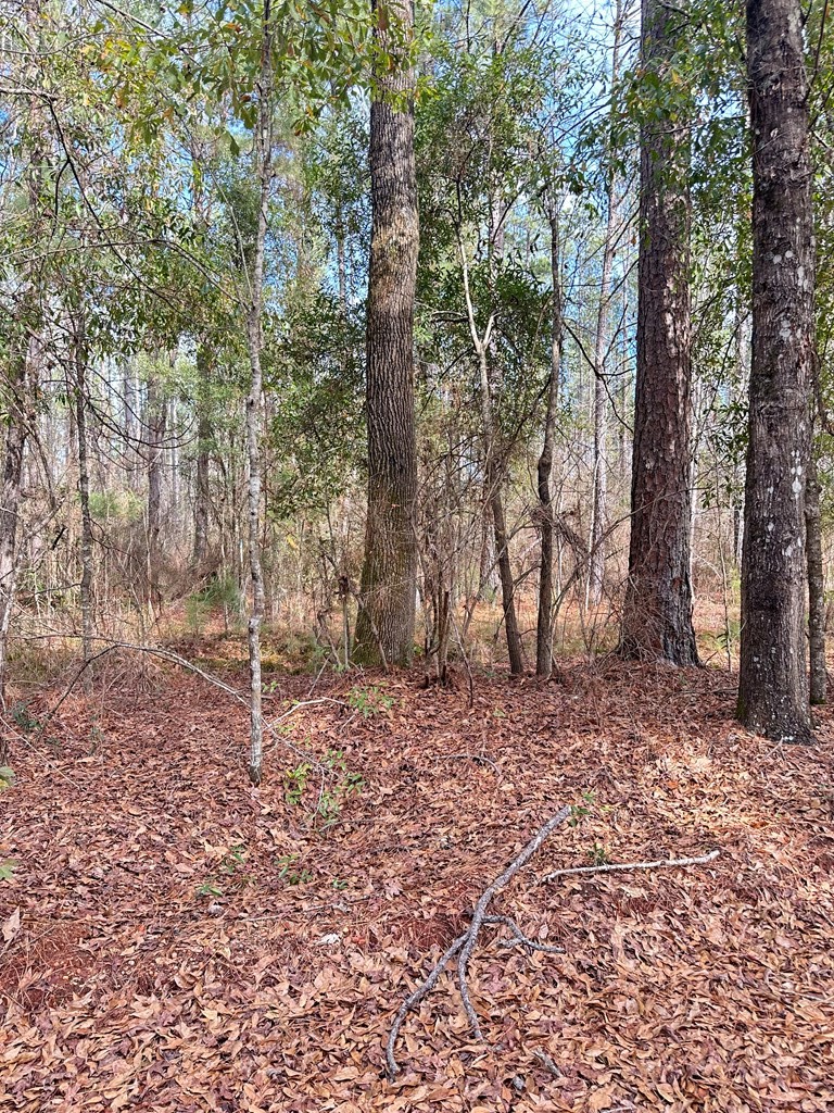 0 Cook Road Brewton, AL 36426 - Photo 2 of 4