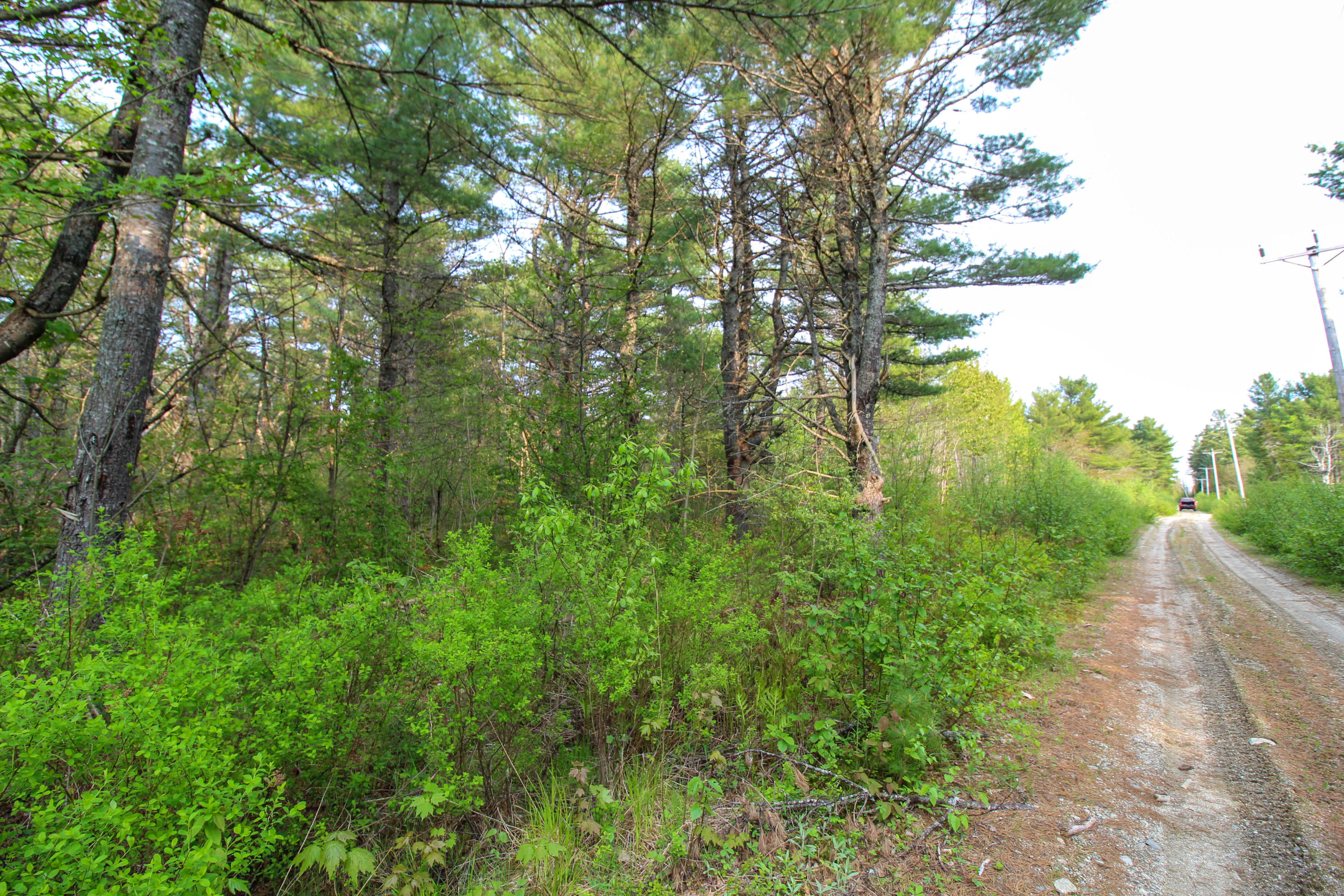 5-8 Boggy Brook Road Ellsworth, ME 04605 - Photo 21 of 28 Looking South