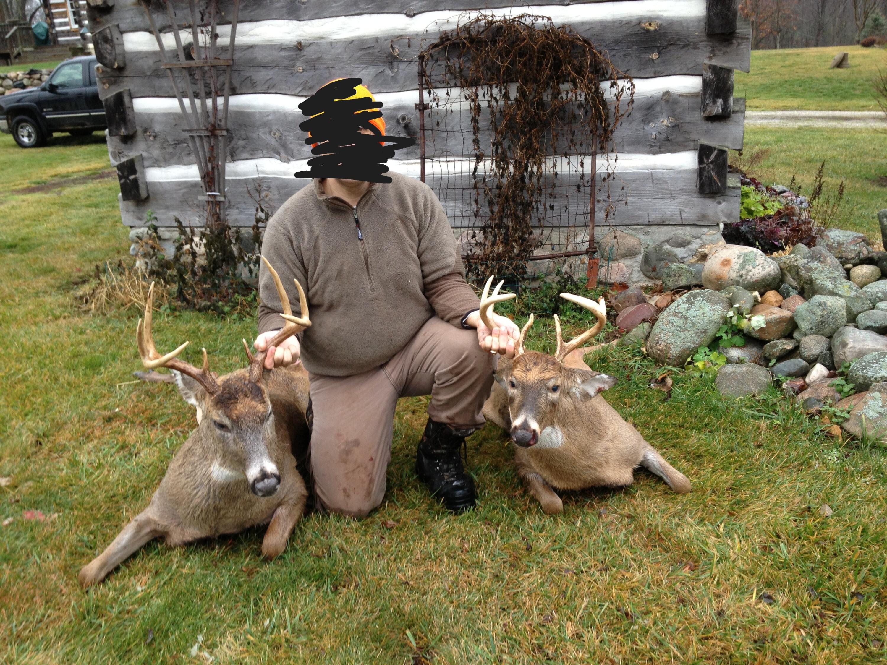 13399 Wing Road Bellevue, MI 49021 - Photo 76 of 77 Deer 1