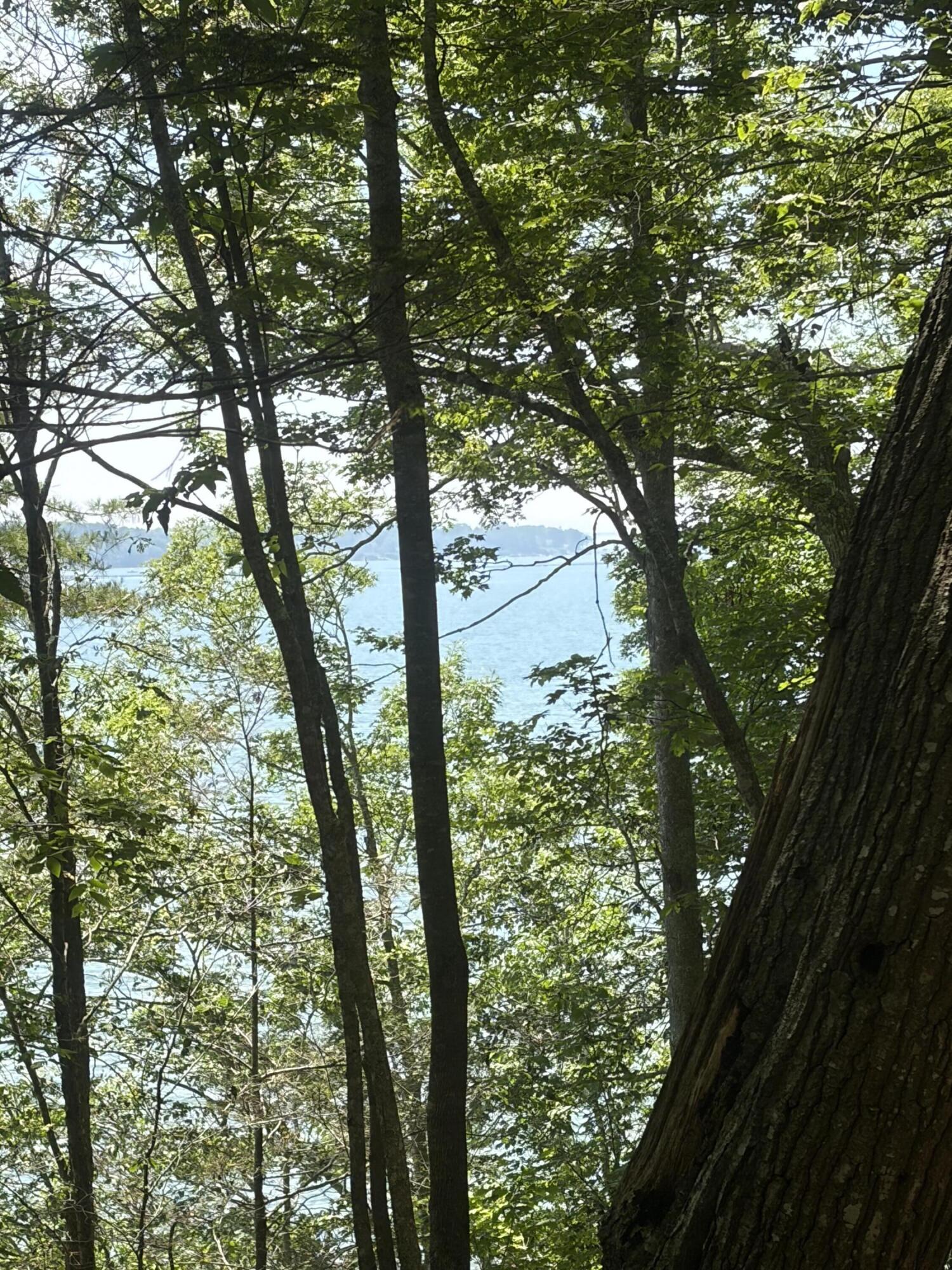 19-8 Flying Point Road Freeport, ME 04032 - Photo 12 of 33 IMG_9170