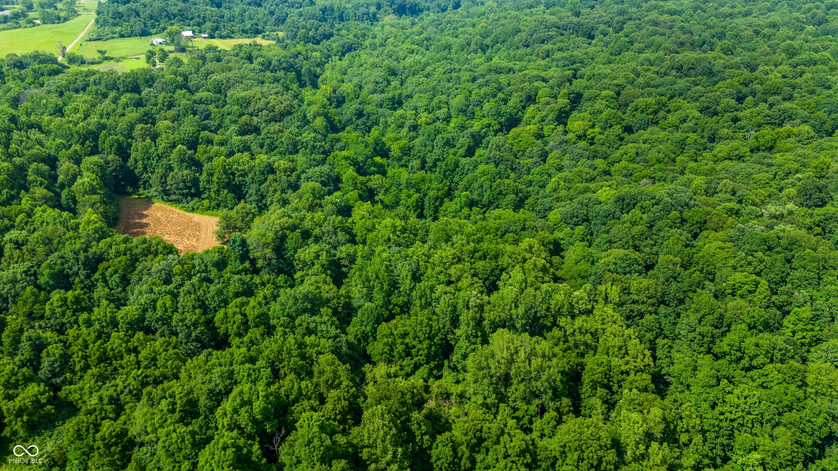 20136 Stone Church Road Laurel, IN 47024 - Photo 53 of 54