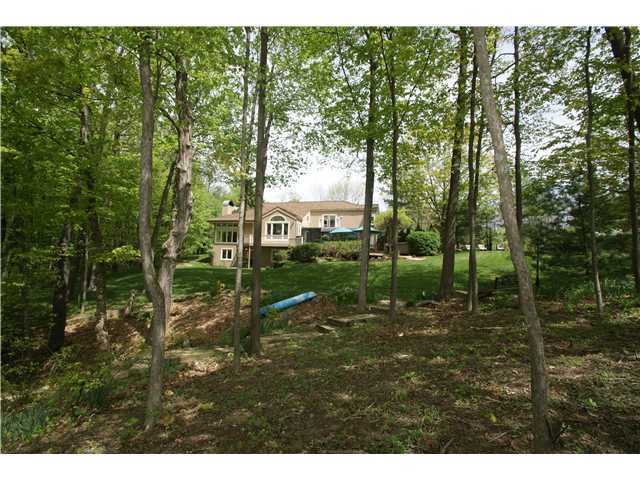 4972 Red Bank Road Galena, OH 43021 - Photo 23 of 25 Gallery Image 23