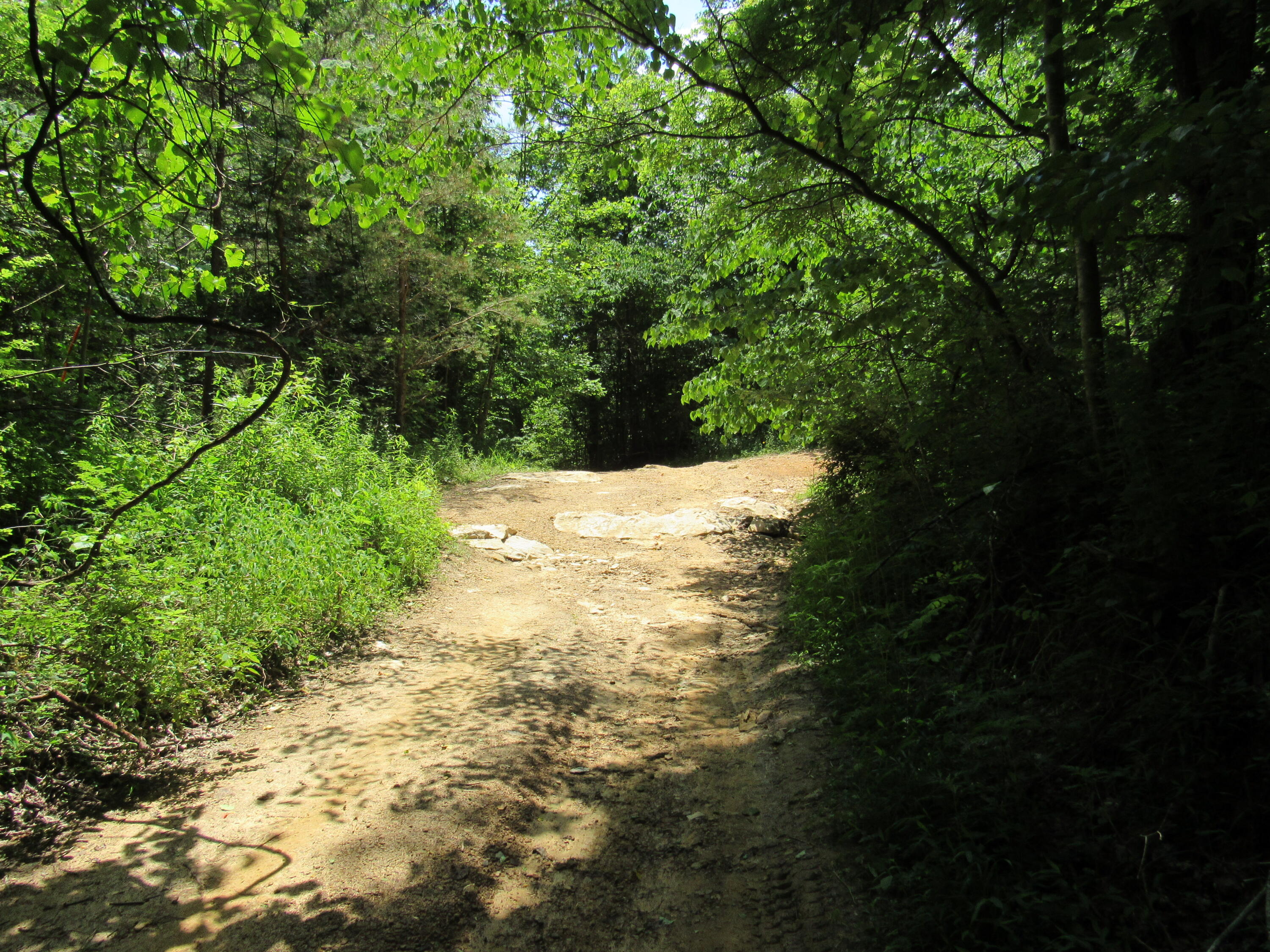 80 Pumpkin Hollow Road Frenchburg, KY 40322 - Photo 2 of 3 IMG_6745