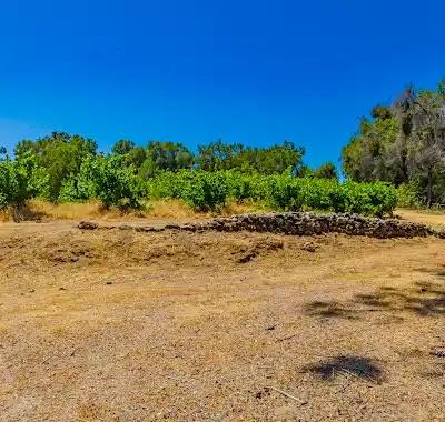 49610 House Ranch Road O'Neals, CA 93645 - Photo 40 of 48 Stone wall and museum vineyard