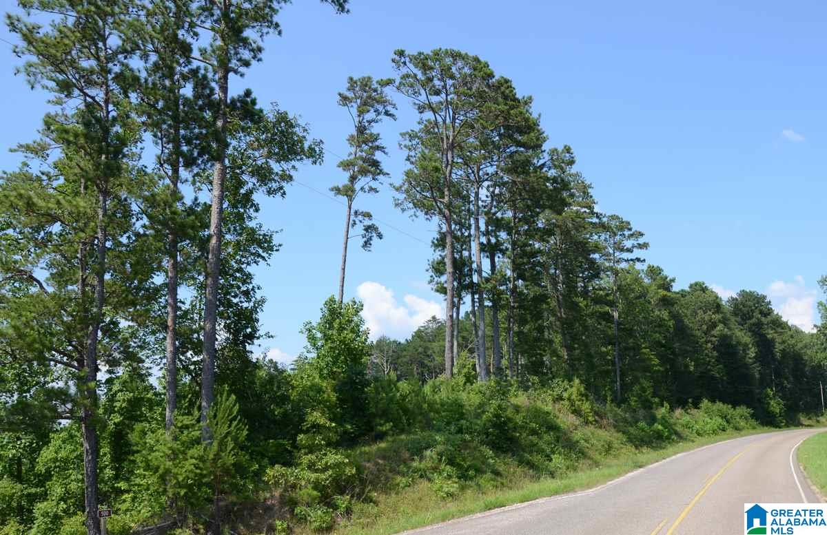 10098 County Road 55, Unit 24 ACRES Fruithurst, AL 36262 - Photo 16 of 27