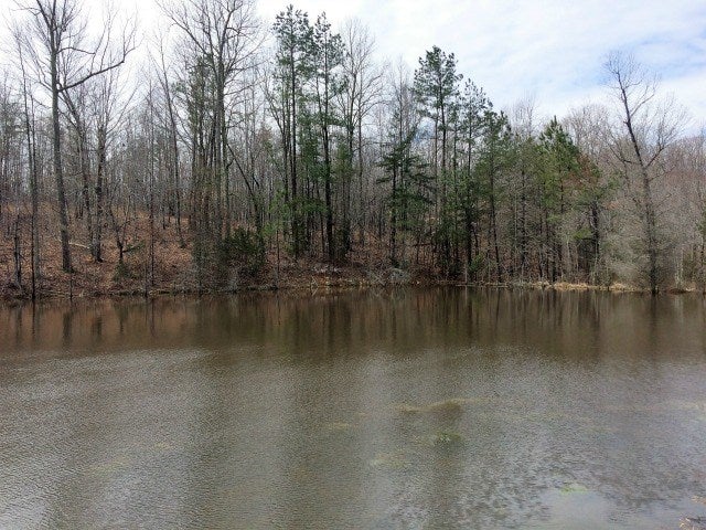 820 Avon Road Dillwyn, VA 23936 - Photo 1 of 1 Gallery Image 1
