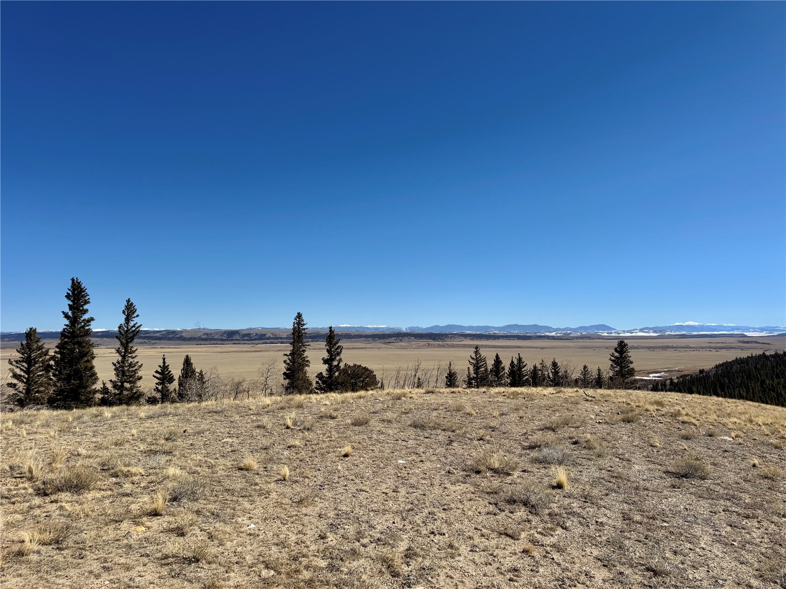 1872 High Creek Road Fairplay, CO 80440 - Photo 13 of 37 a view of ocean view with beach