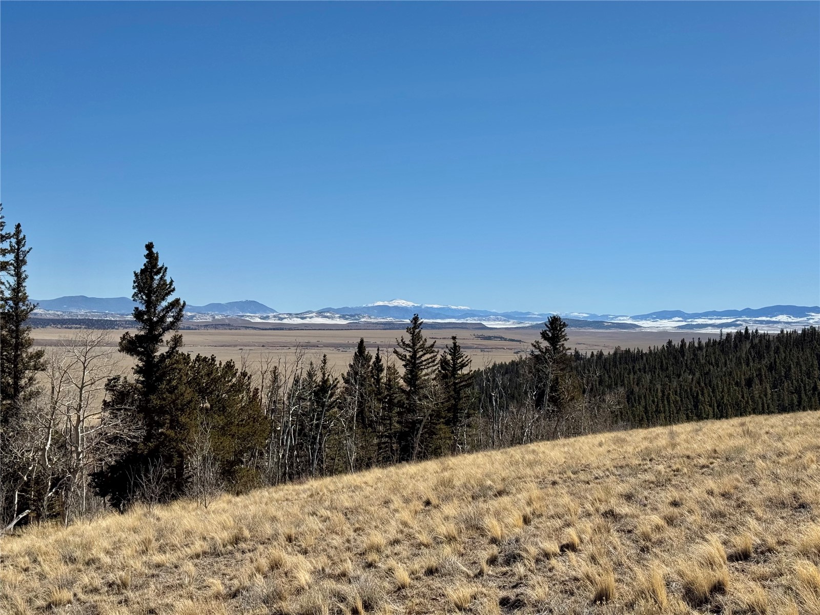 1872 High Creek Road Fairplay, CO 80440 - Photo 16 of 37 a view of a outdoor space and mountain in the back