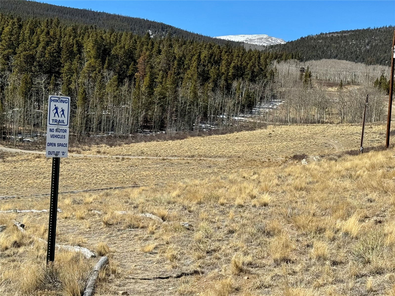 1872 High Creek Road Fairplay, CO 80440 - Photo 17 of 37 a view of a yard covered with snow