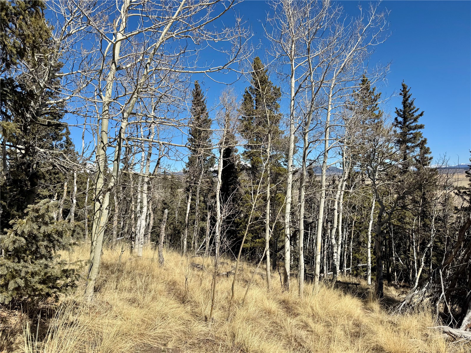 1872 High Creek Road Fairplay, CO 80440 - Photo 19 of 37