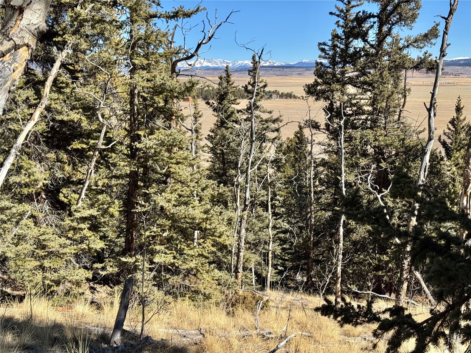 1872 High Creek Road Fairplay, CO 80440 - Photo 20 of 37 a view of a lake