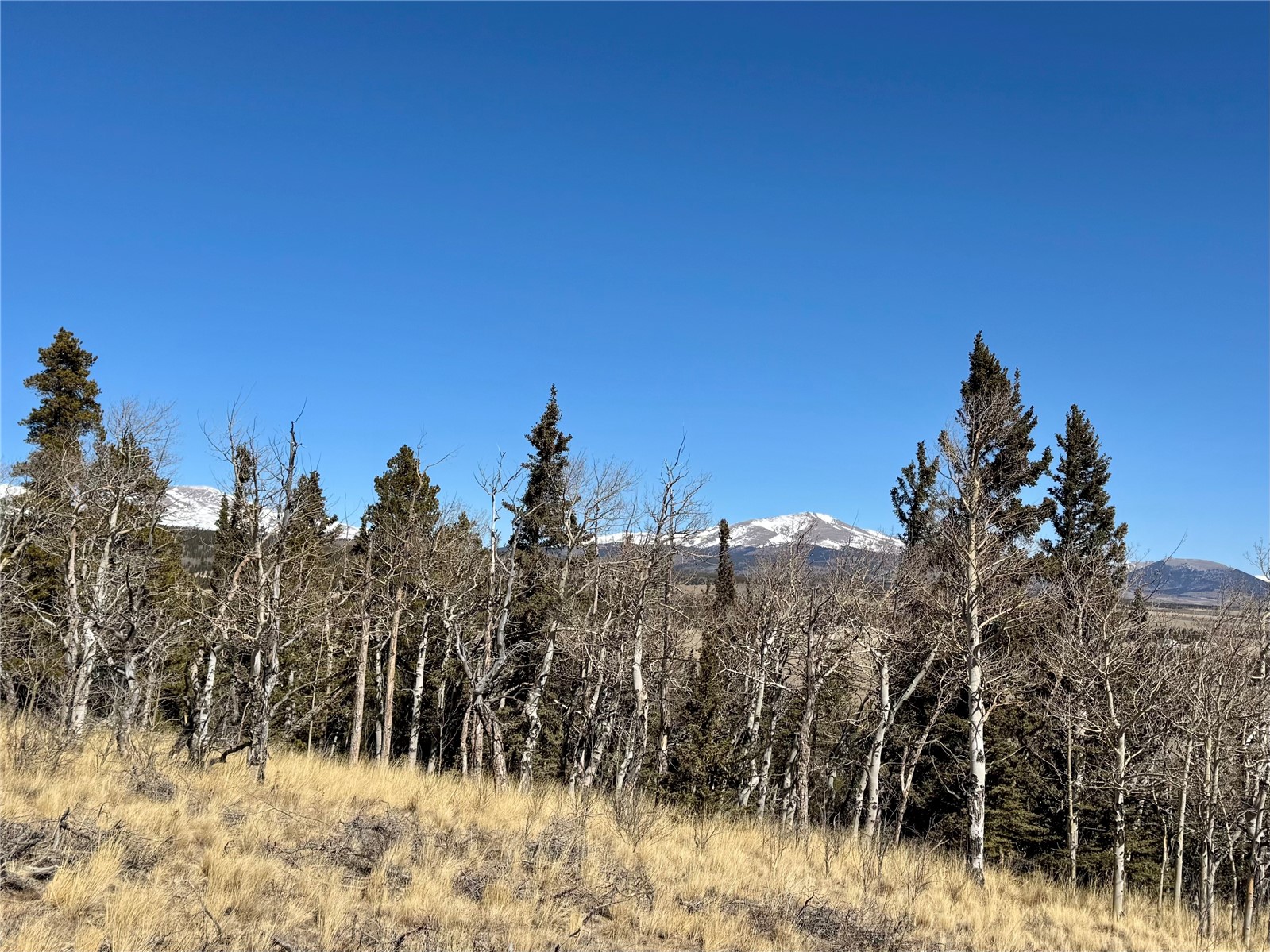 1872 High Creek Road Fairplay, CO 80440 - Photo 2 of 37 a view of a covered with snow in the background