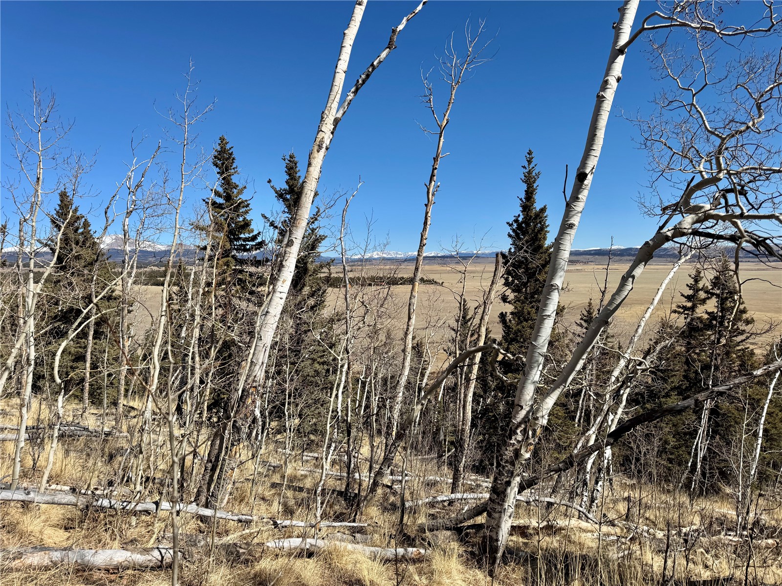 1872 High Creek Road Fairplay, CO 80440 - Photo 21 of 37 a view of an outdoor space