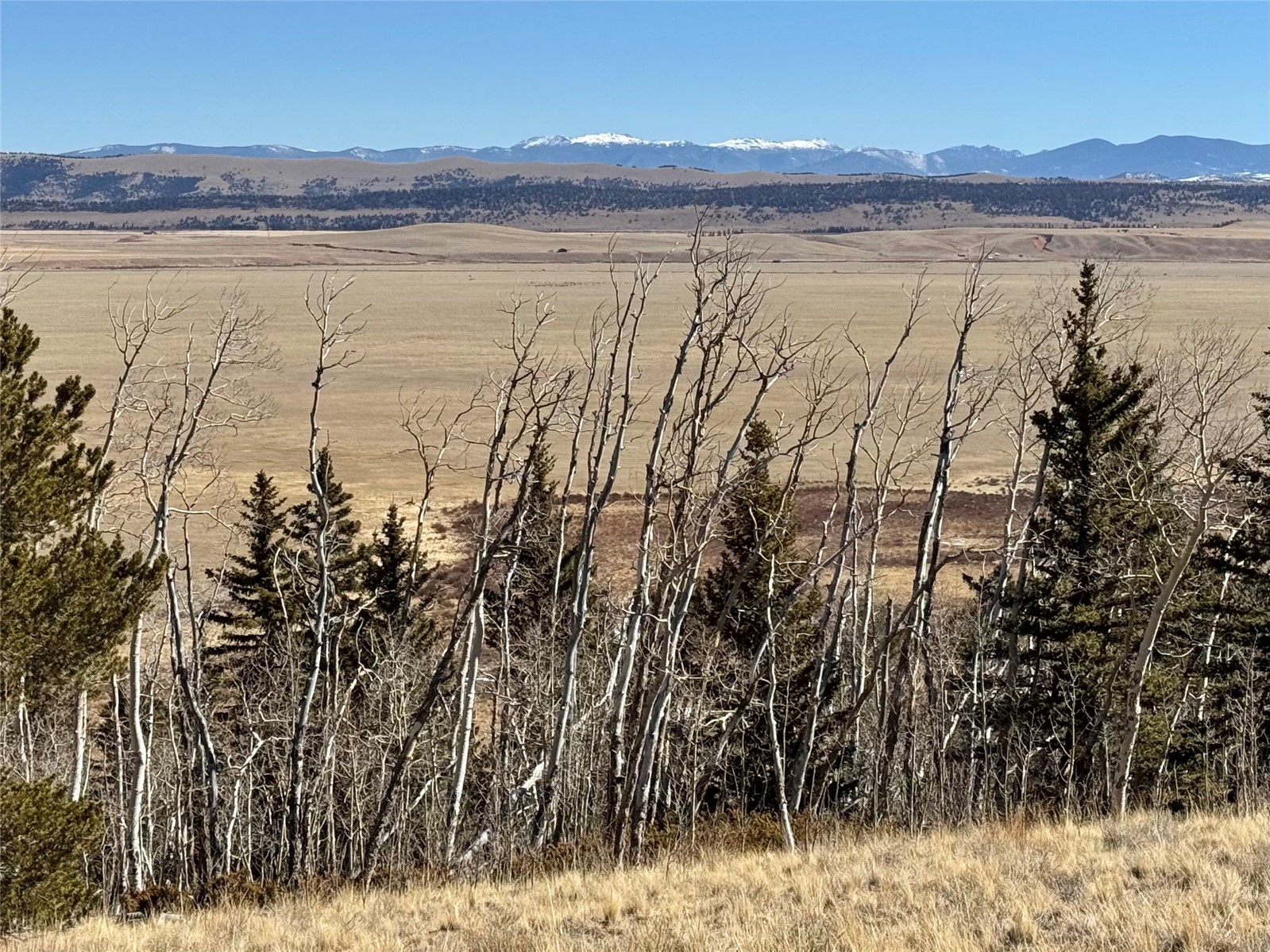 1872 High Creek Road Fairplay, CO 80440 - Photo 22 of 37 a view of lake with mountain