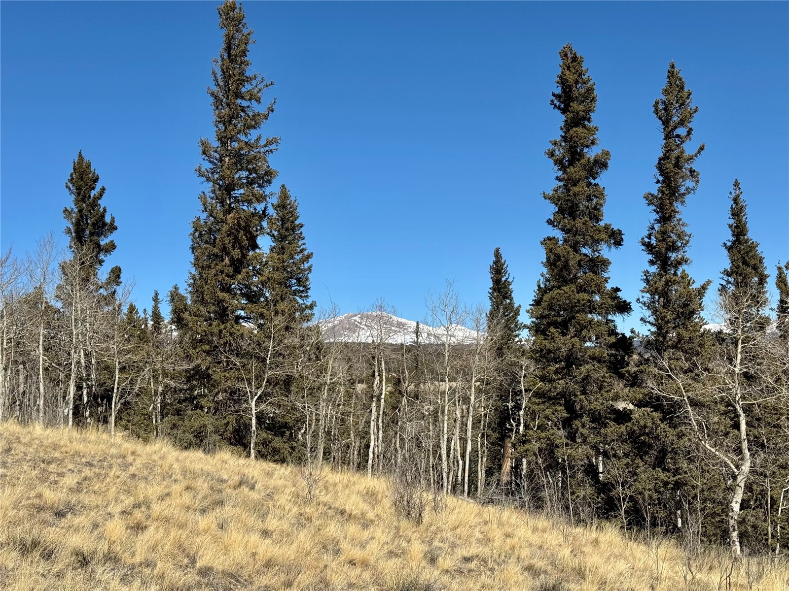 1872 High Creek Road Fairplay, CO 80440 - Photo 23 of 37 a view of a covered with snow in front of house