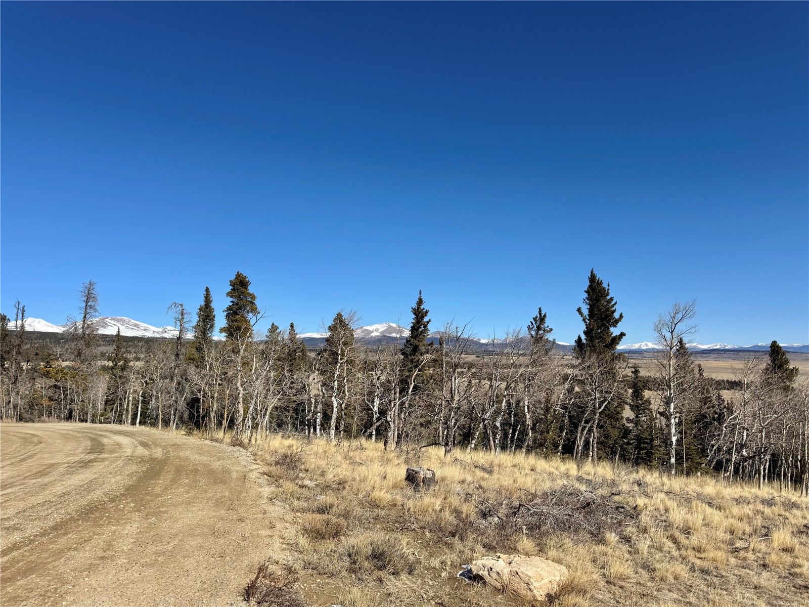1872 High Creek Road Fairplay, CO 80440 - Photo 24 of 37 a view of a dry yard with trees