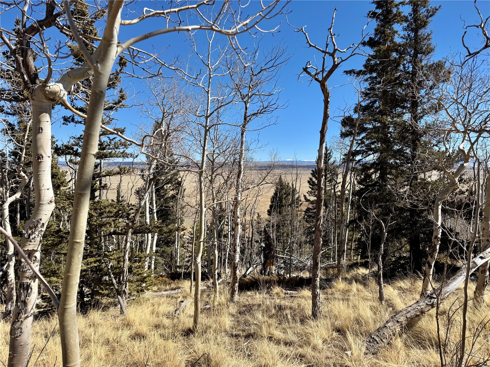 1872 High Creek Road Fairplay, CO 80440 - Photo 25 of 37 a view of a yard covered with snow