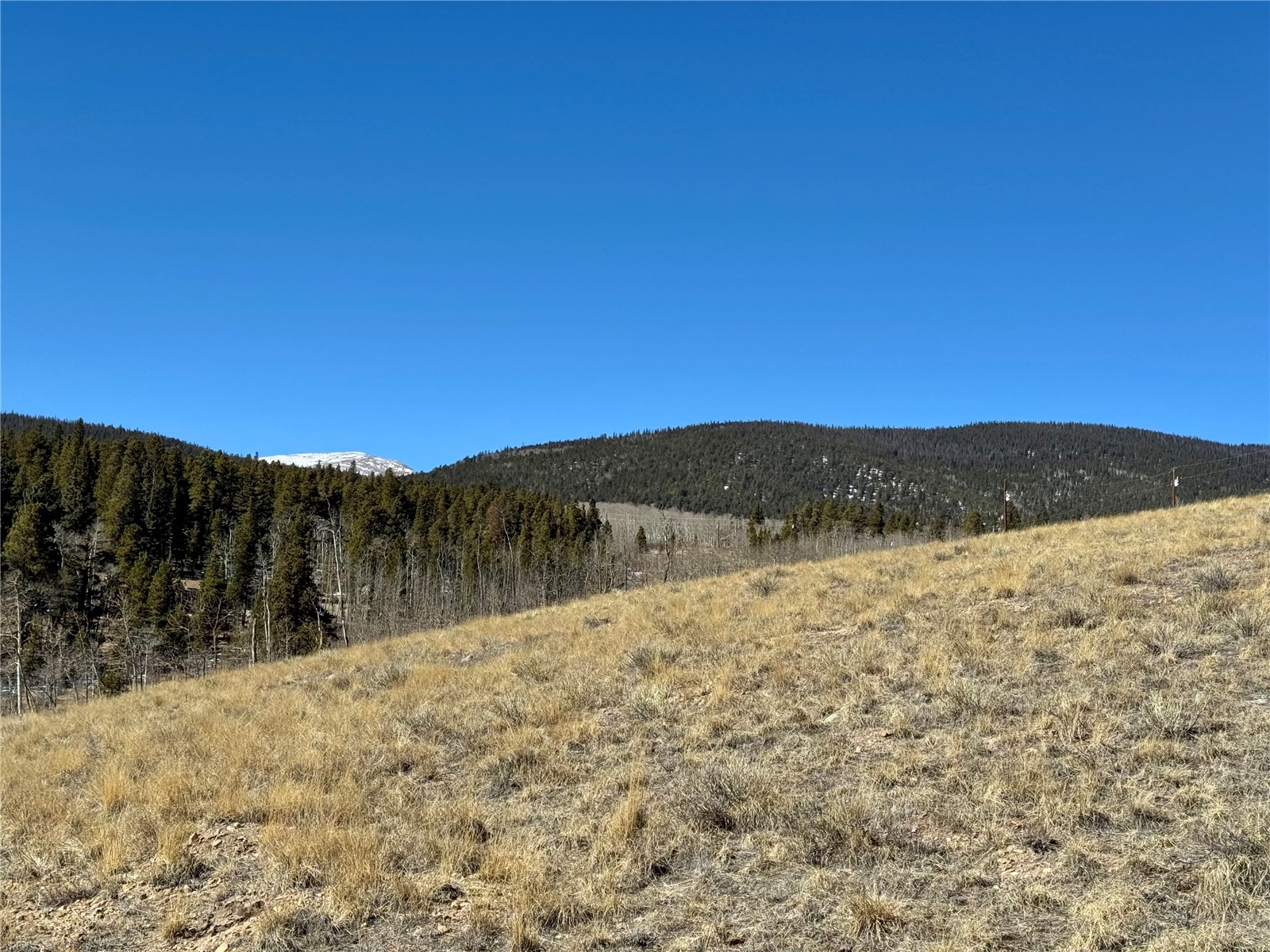 1872 High Creek Road Fairplay, CO 80440 - Photo 26 of 37 a view of mountain with outdoor space