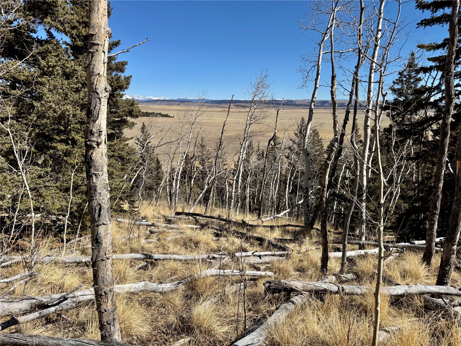 1872 High Creek Road Fairplay, CO 80440 - Photo 29 of 37 a view of a pathway with a yard