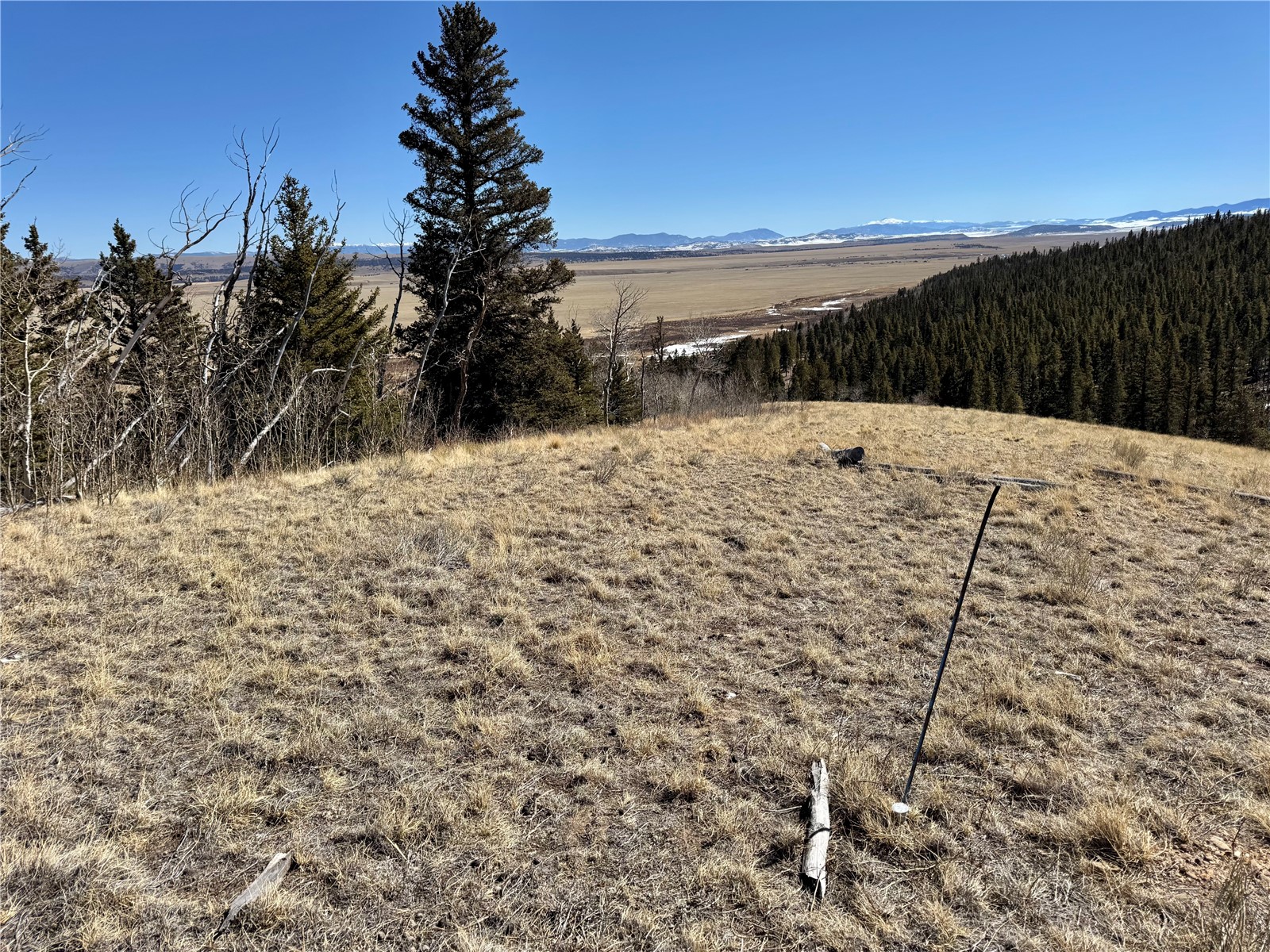 1872 High Creek Road Fairplay, CO 80440 - Photo 30 of 37 a view of a yard with a snow