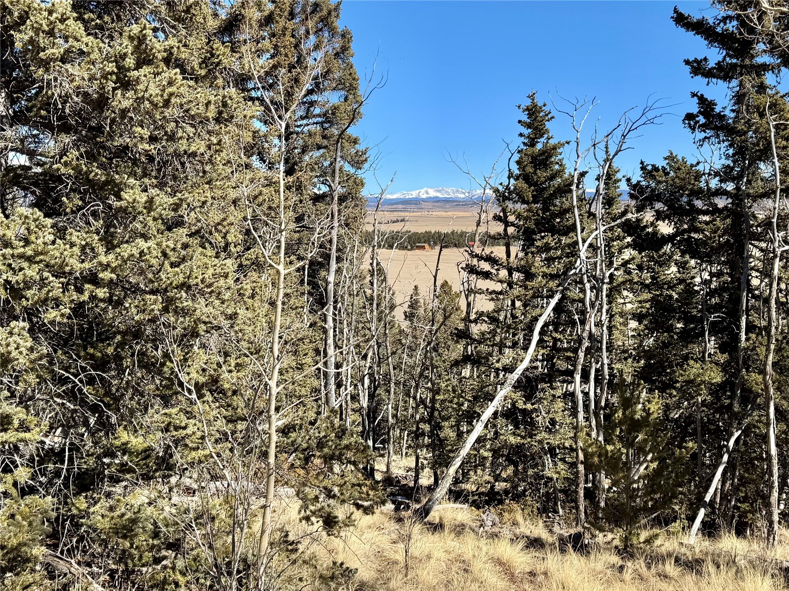 1872 High Creek Road Fairplay, CO 80440 - Photo 3 of 37