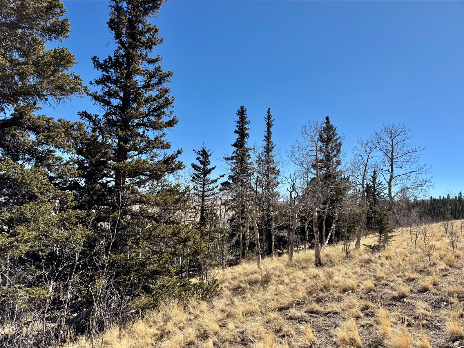 1872 High Creek Road Fairplay, CO 80440 - Photo 36 of 37 a view of a snow covered with snow in the background