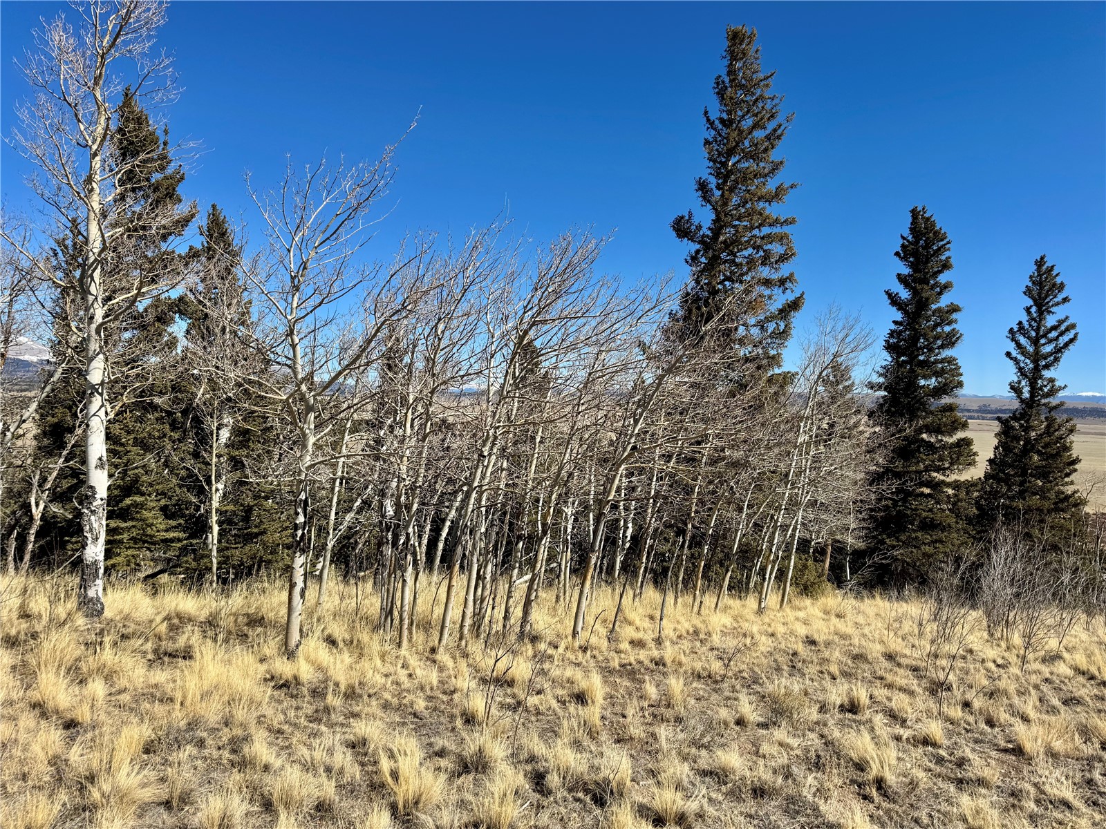 1872 High Creek Road Fairplay, CO 80440 - Photo 37 of 37 a view of a lake view