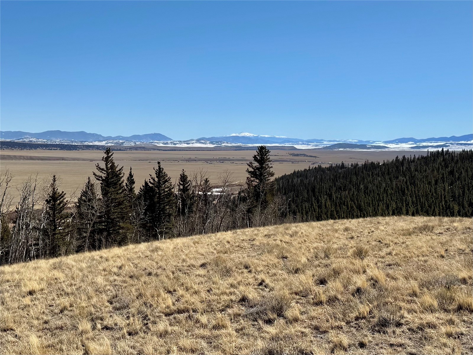 1872 High Creek Road Fairplay, CO 80440 - Photo 5 of 37 a view of lake view and mountain view