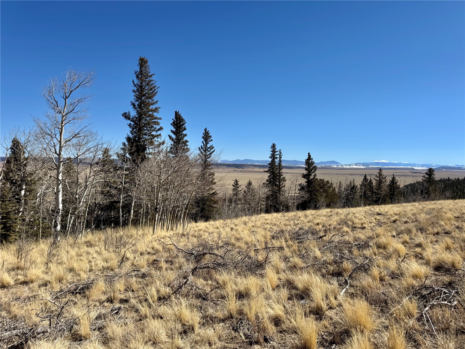 1872 High Creek Road Fairplay, CO 80440 - Photo 6 of 37 a view of outside space and a yard