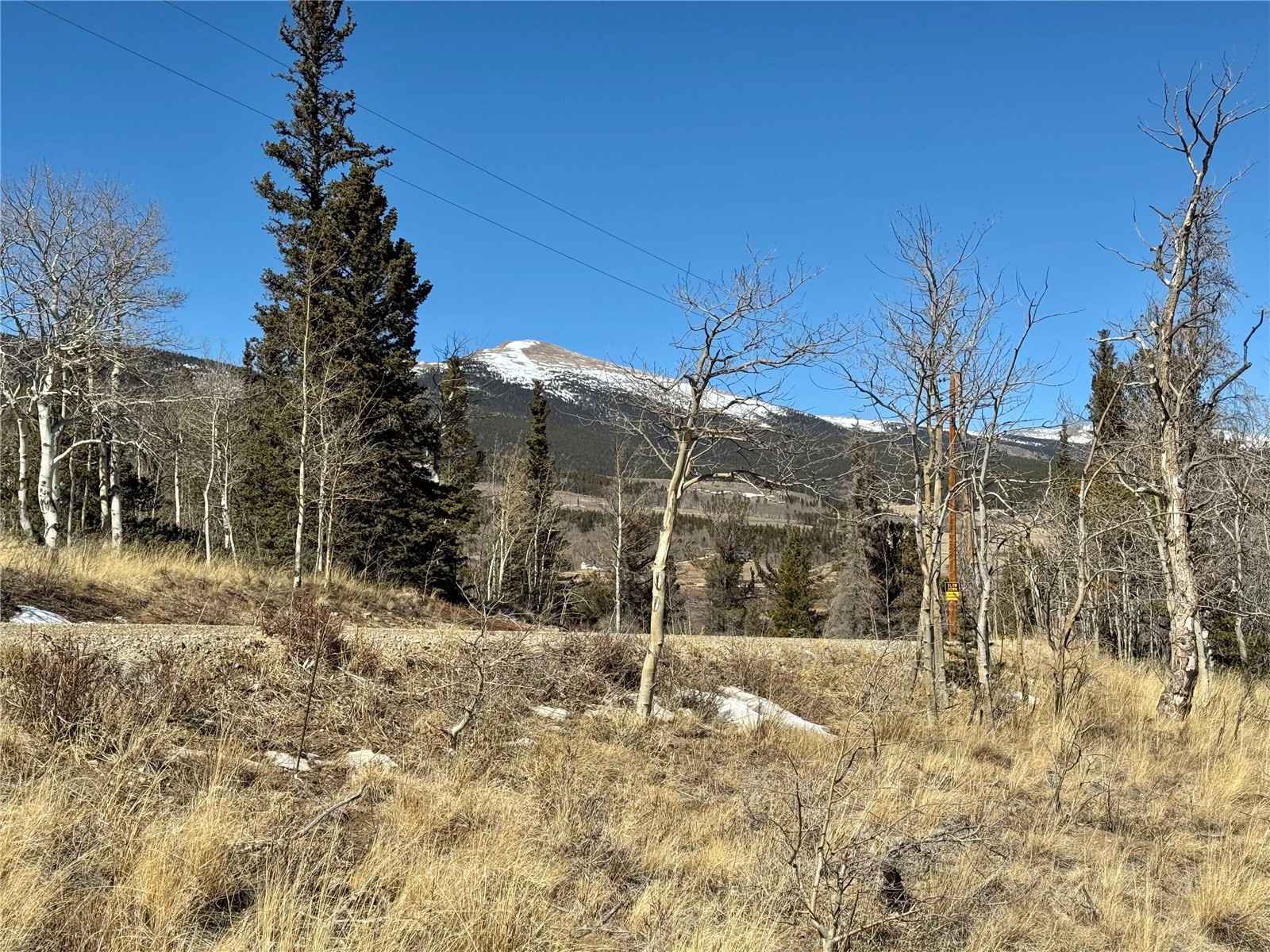 1872 High Creek Road Fairplay, CO 80440 - Photo 7 of 37 a backyard of a house