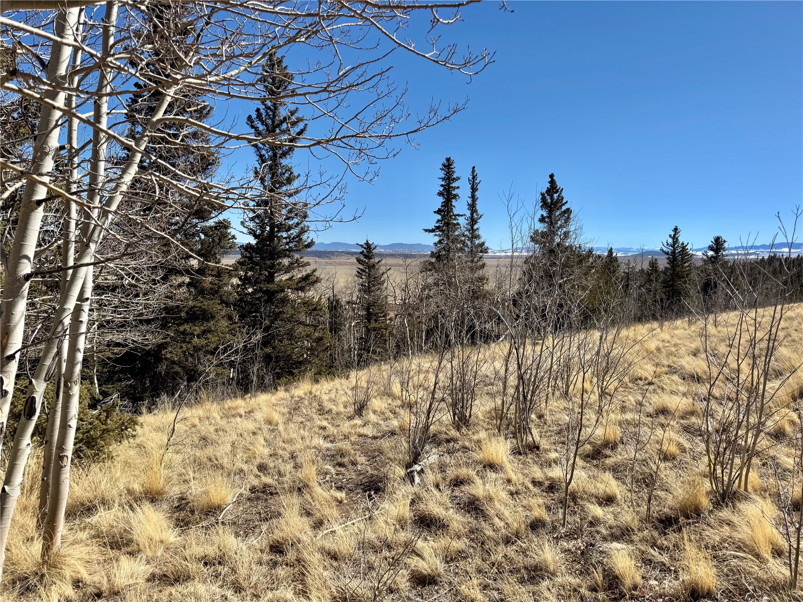 1872 High Creek Road Fairplay, CO 80440 - Photo 8 of 37 a view of a yard covered in snow