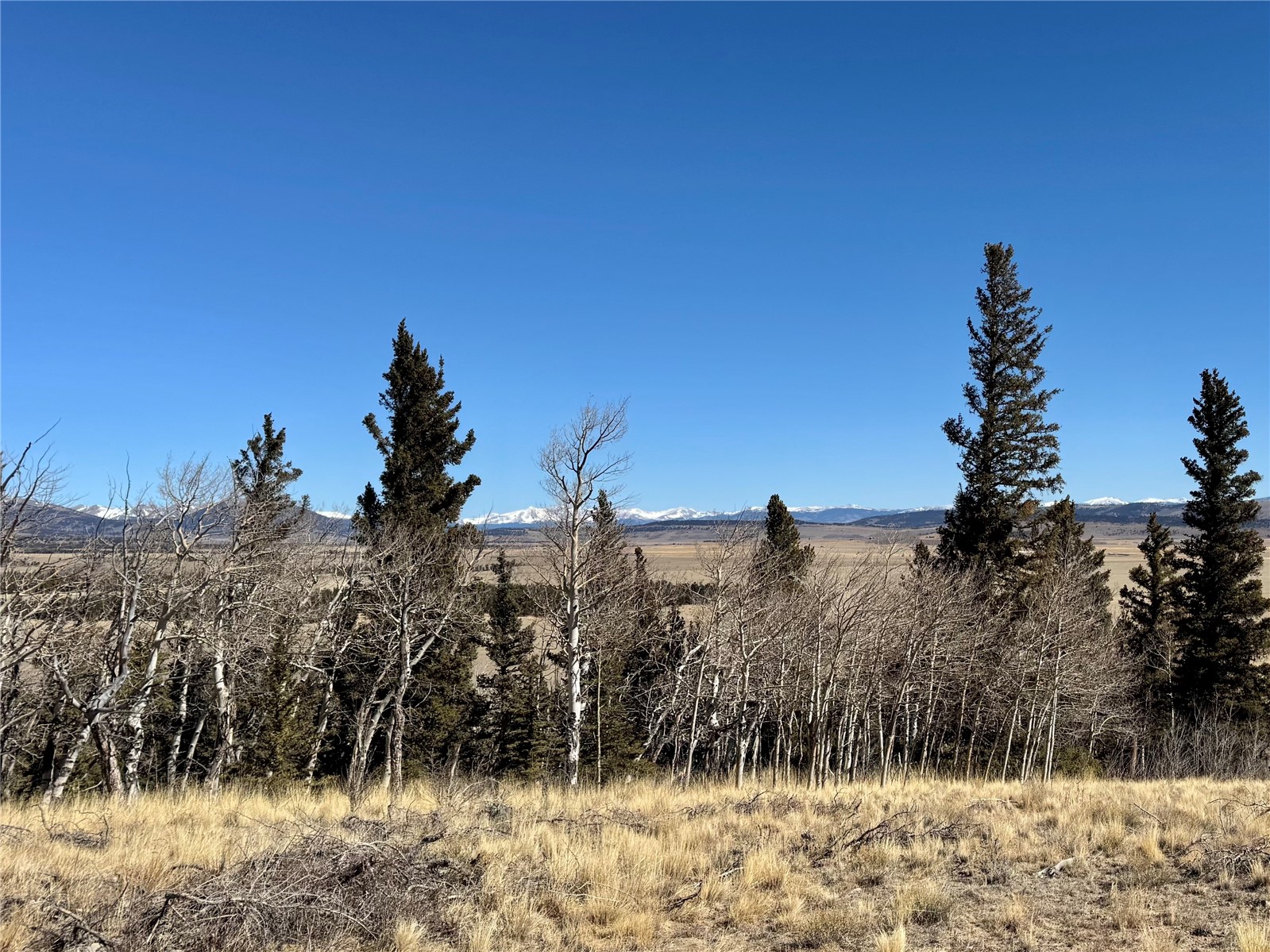 1872 High Creek Road Fairplay, CO 80440 - Photo 9 of 37 a view of a yard