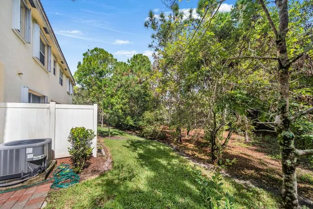 a view of a yard with a tree