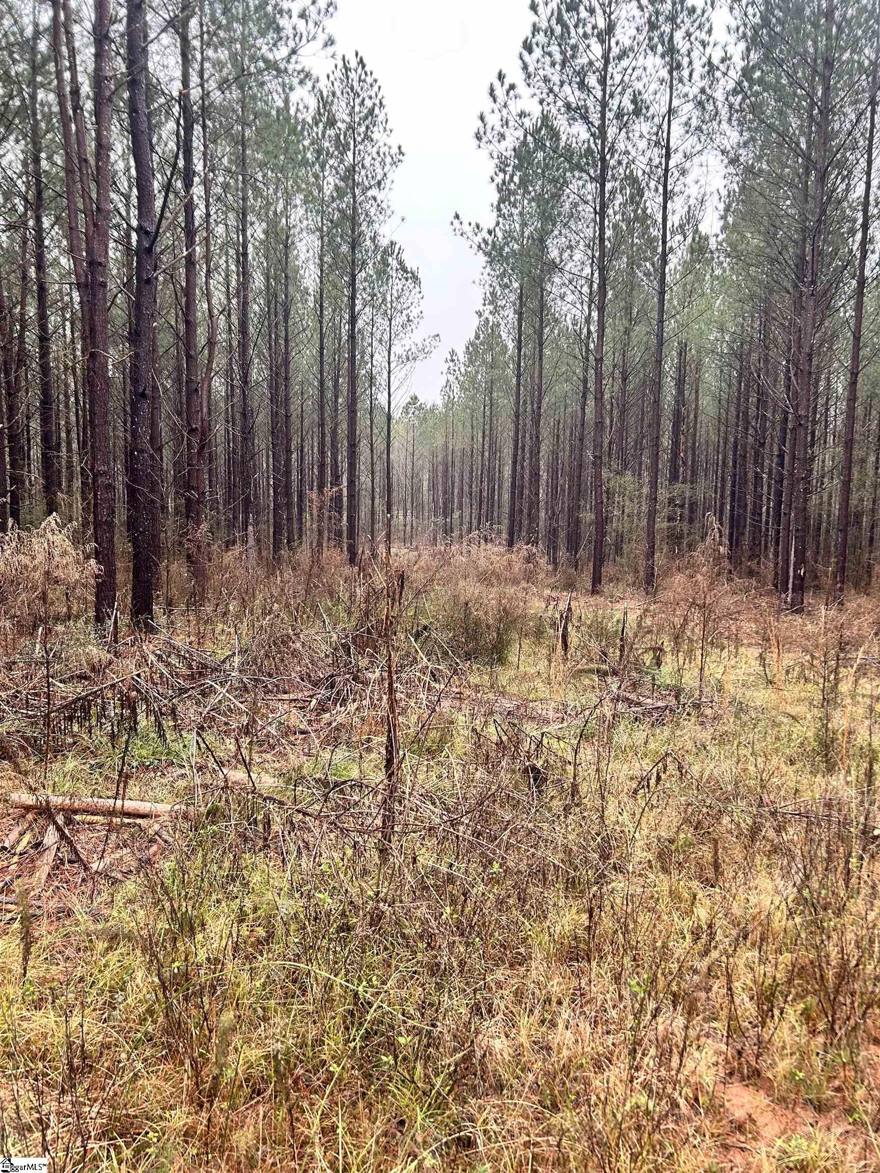 0 Columbia Road Edgefield, SC 29824 - Photo 6 of 9