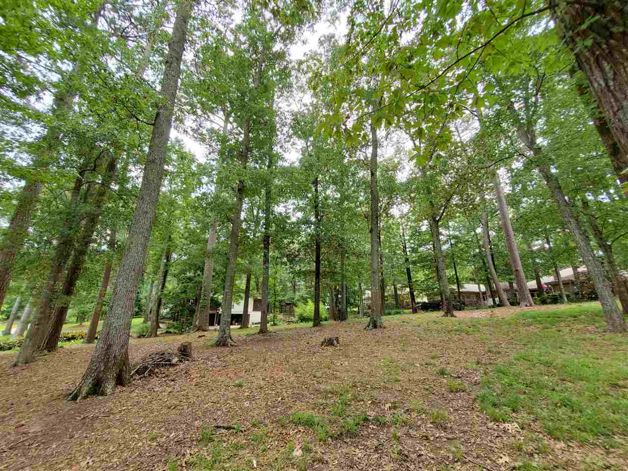 117 Coachman''s Road, Unit 22 Madison, MS 39110 - Photo 4 of 9 Photo 4