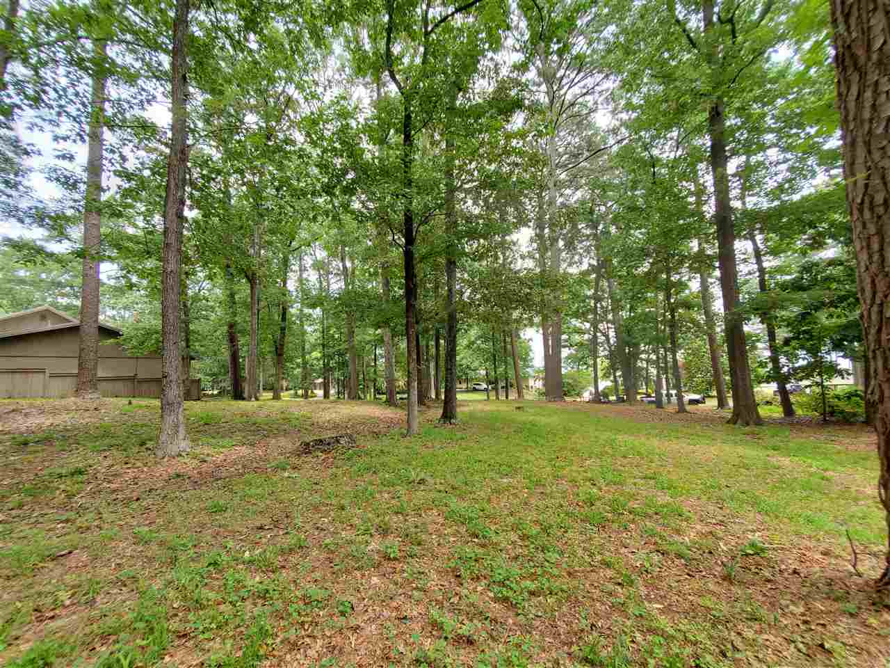 117 Coachman''s Road, Unit 22 Madison, MS 39110 - Photo 6 of 9 Photo 6