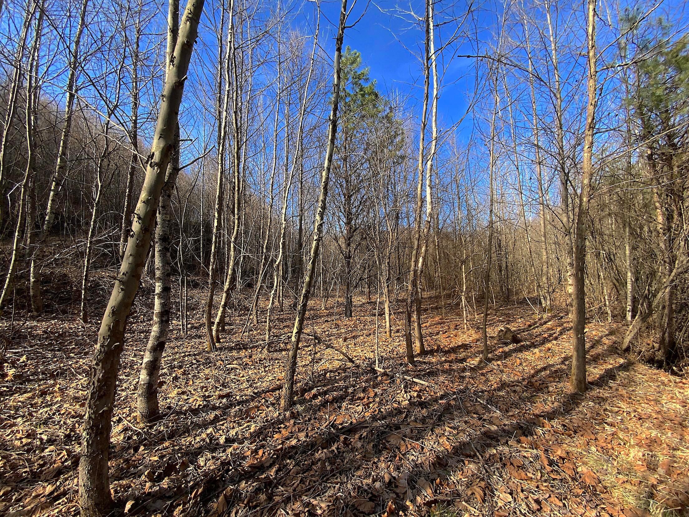 0 Kelly Road Ray, OH 45672 - Photo 29 of 46 Vinton County Kelly Rd 28