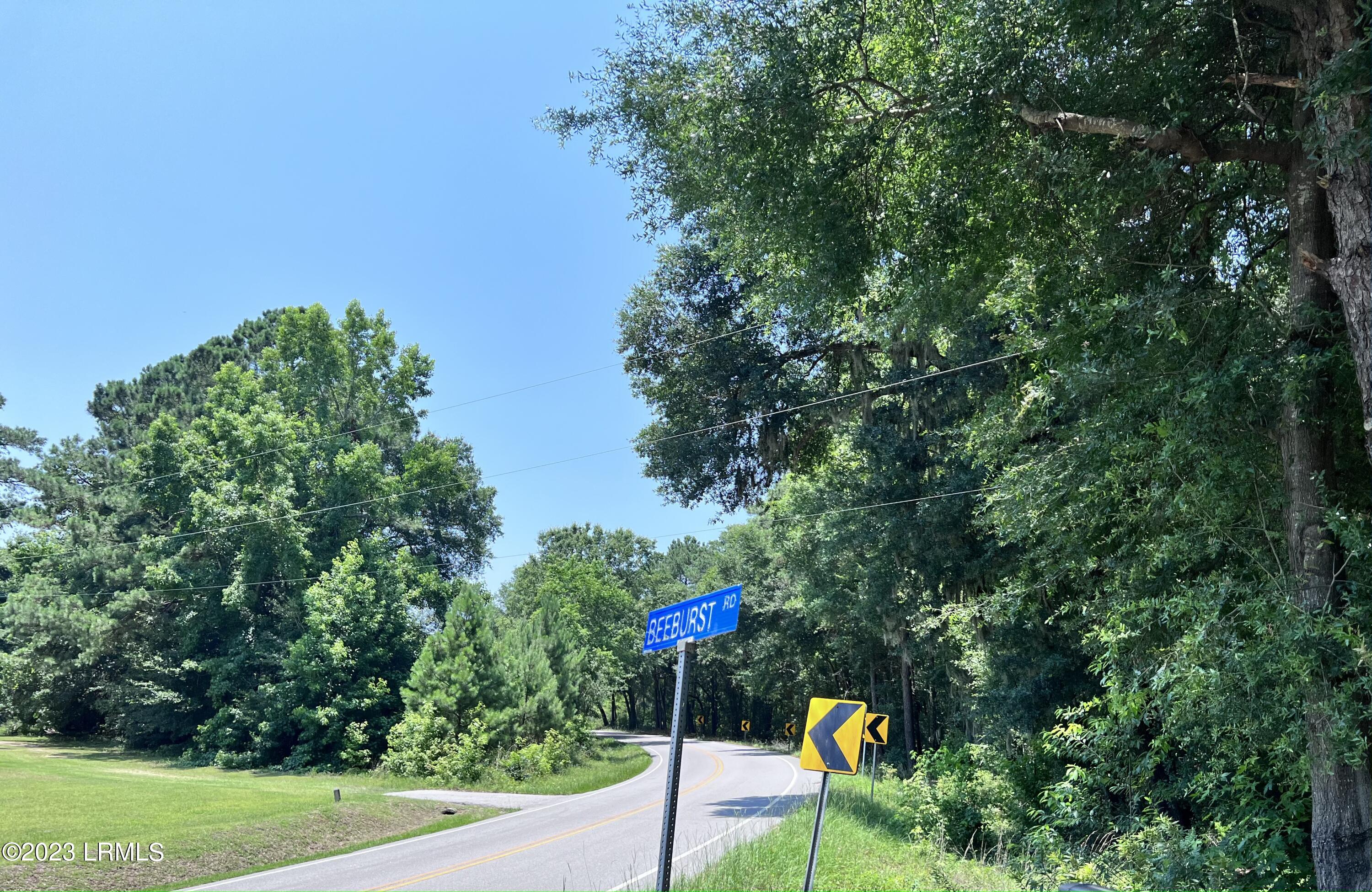 Tbd Beeburst Road Beaufort, SC 29906 - Photo 2 of 5 IMG_1619