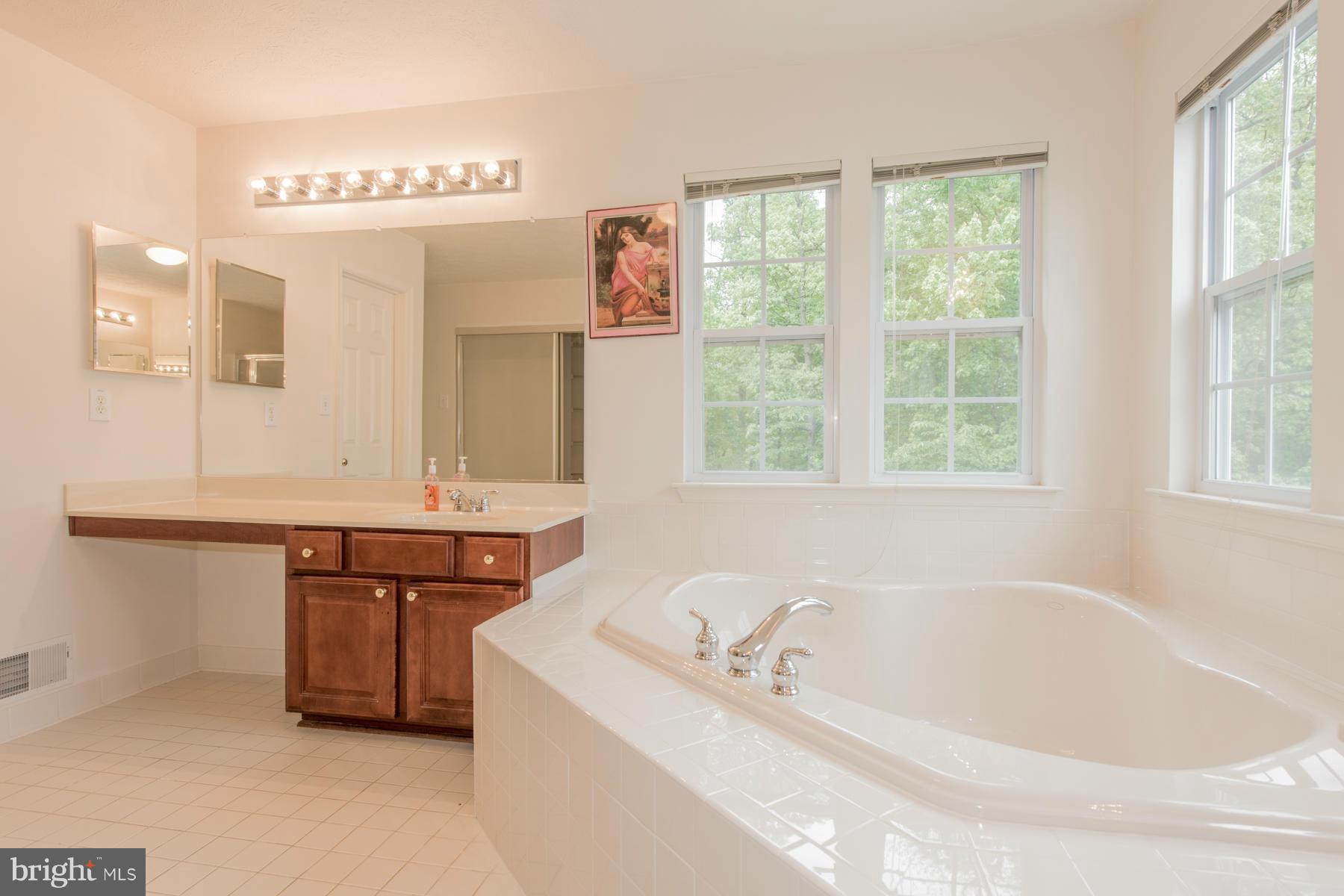 4604 Runnymeade Road Owings Mills, MD 21117 - Photo 20 of 30 Bath (Master)
