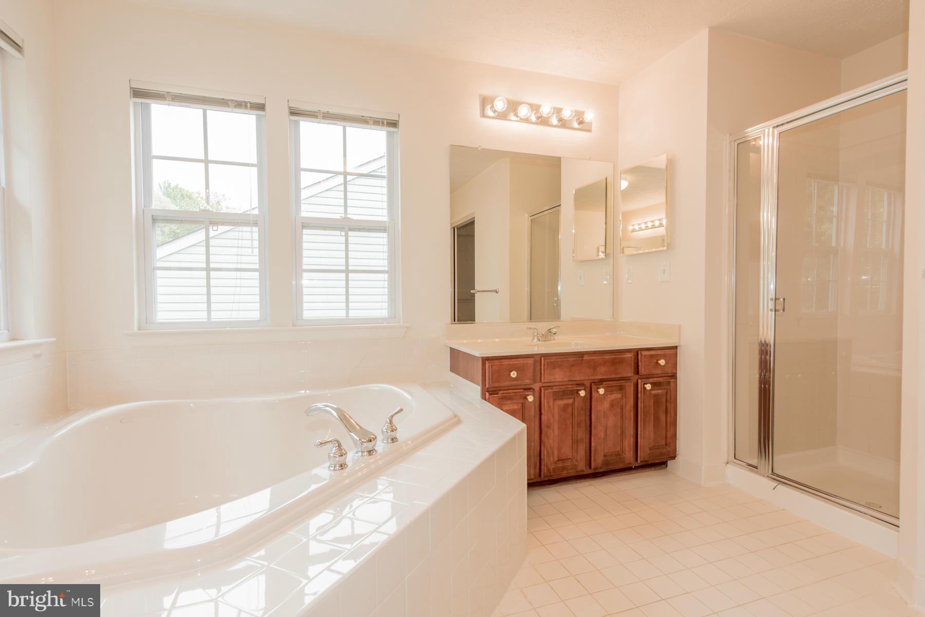 4604 Runnymeade Road Owings Mills, MD 21117 - Photo 21 of 30 Bath (Master)