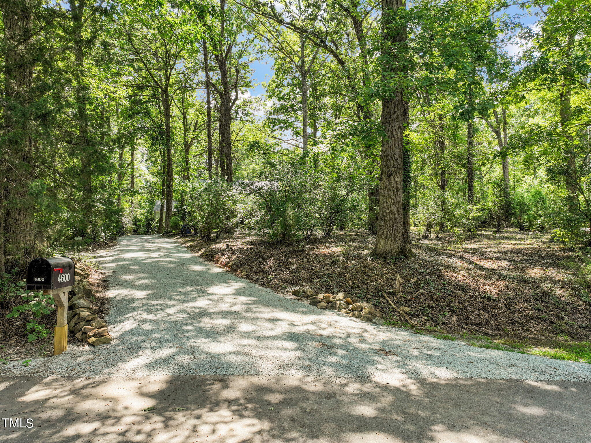 4604 Timberly Drive Durham, NC 27707 - Photo 54 of 60 a view of a forest with trees