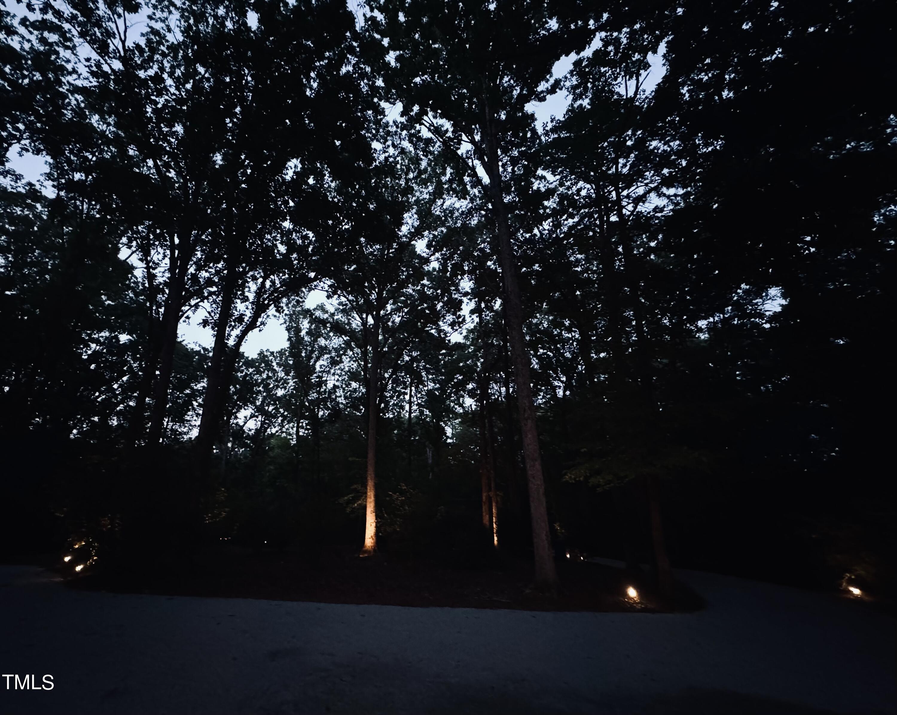 4604 Timberly Drive Durham, NC 27707 - Photo 59 of 60 IMG_4739