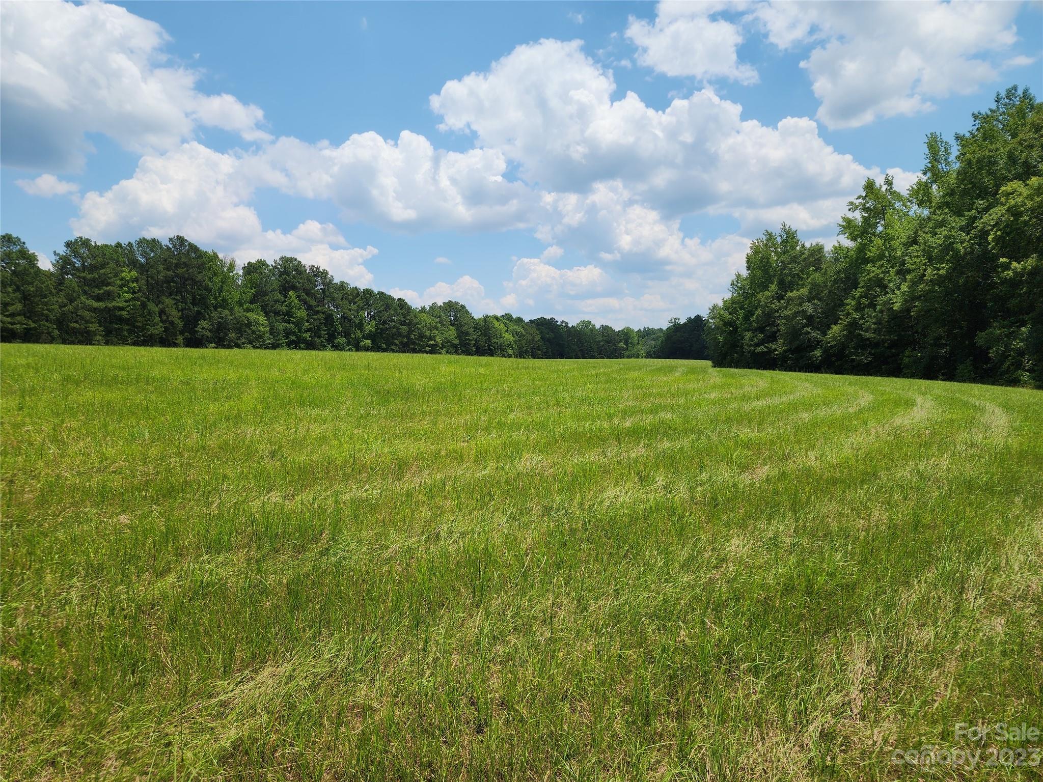 1820 Barringer Road Rock Hill, SC 29730 - Photo 12 of 45 Gallery Image 12