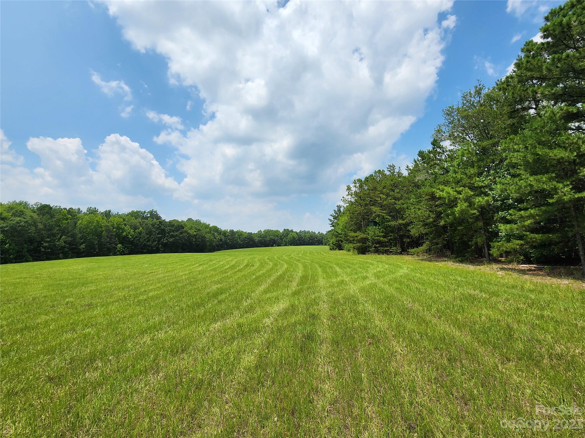 1820 Barringer Road Rock Hill, SC 29730 - Photo 13 of 45 Gallery Image 13