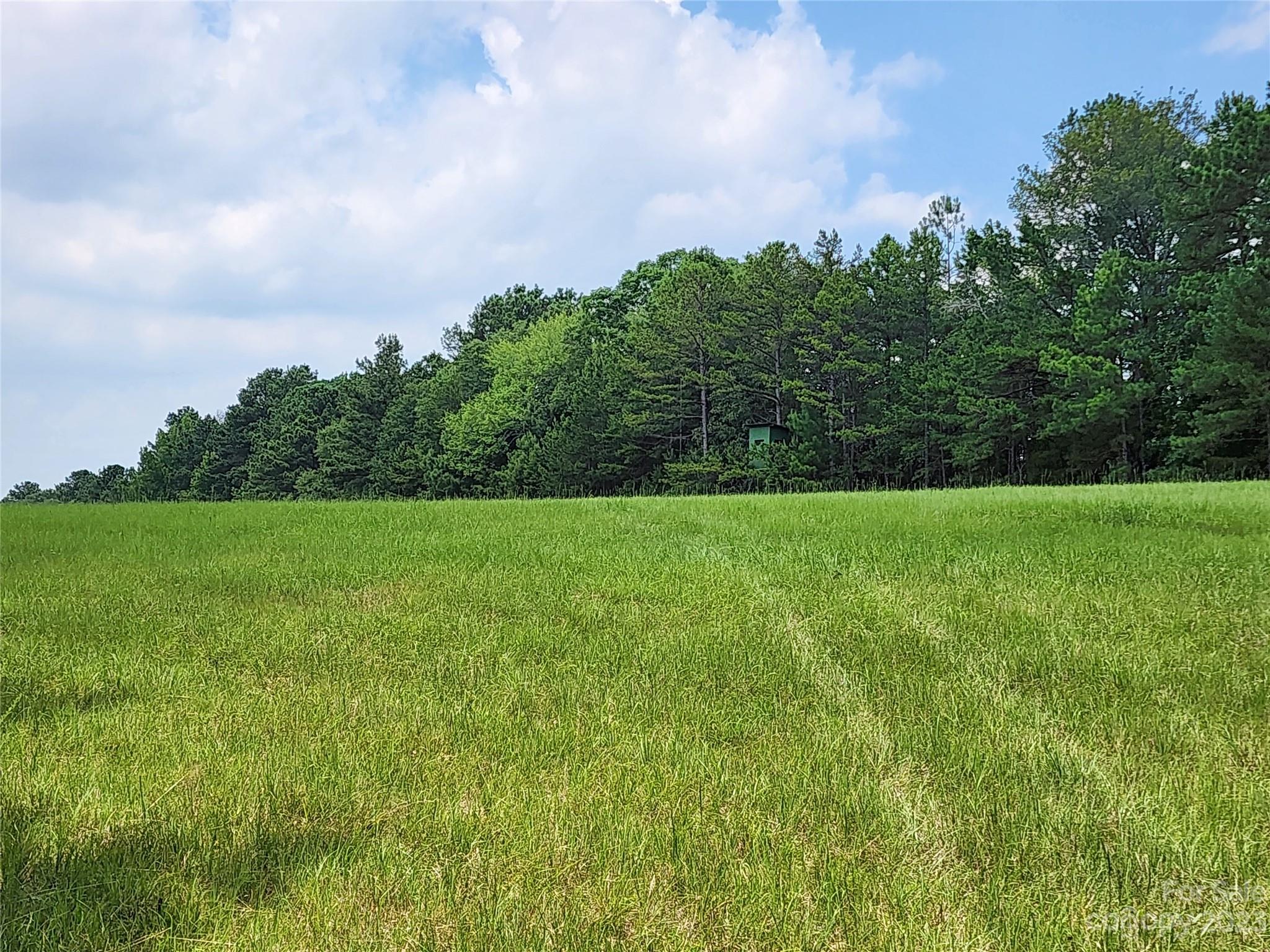1820 Barringer Road Rock Hill, SC 29730 - Photo 26 of 45 Gallery Image 26