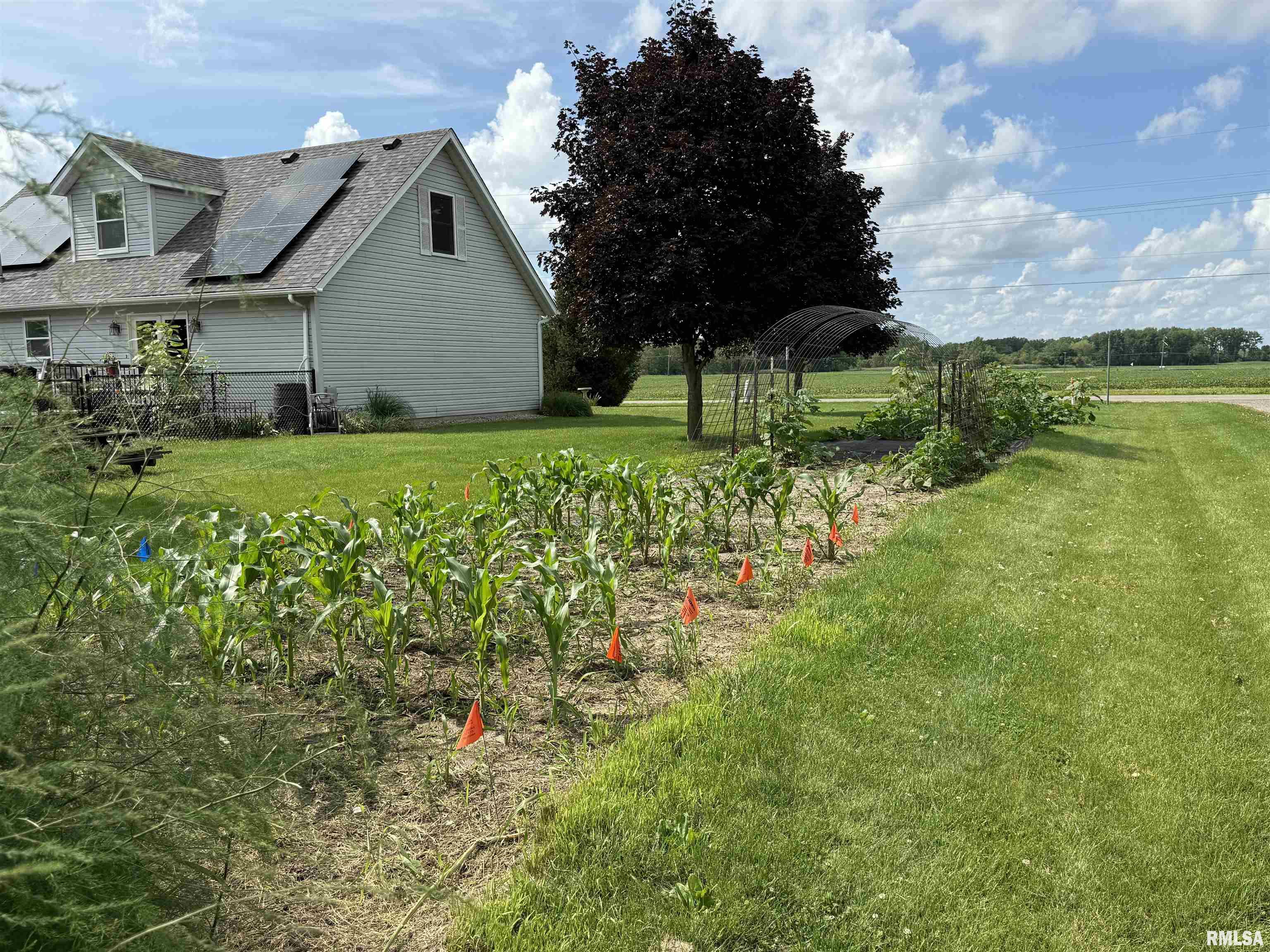 314 West 9th Street Canton, IL 61520 - Photo 4 of 4