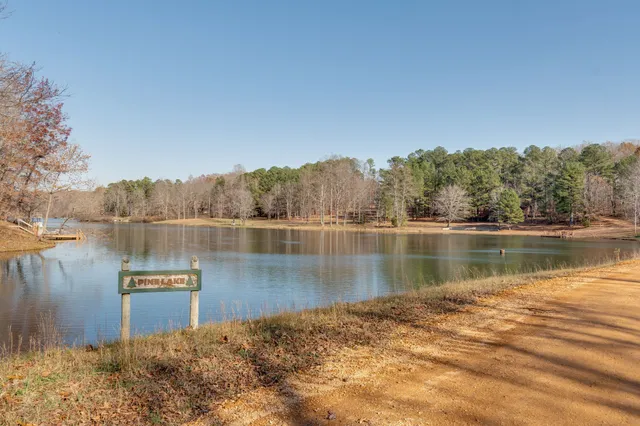 a view of a balcony with two chairs and a potted plant