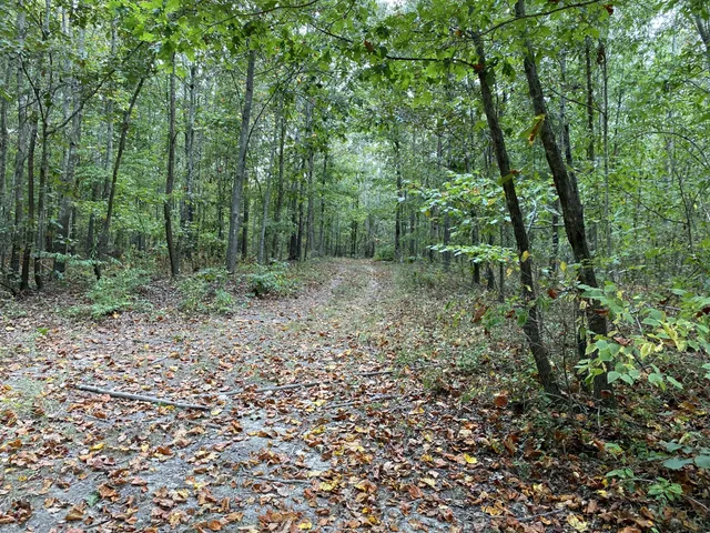 a view of a pathway with an outdoor space